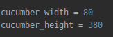 python